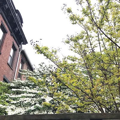 Rented by Owner | media 16