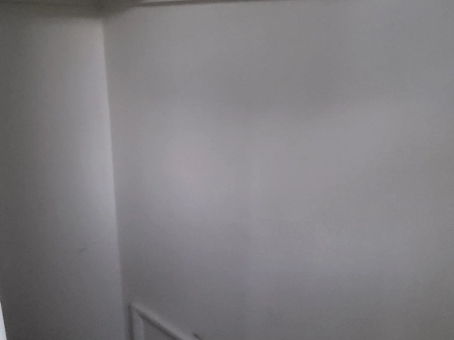 2 bed, 100 sqft, $2,950 — Photo 4