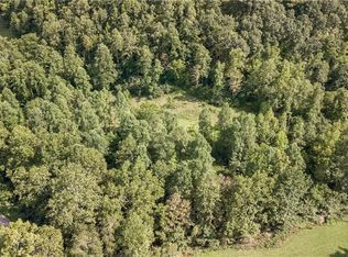 Road 20, Chloe, WV 25235