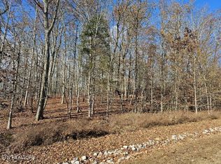 137 E Shore Dr #137, Rockwood, TN 37854