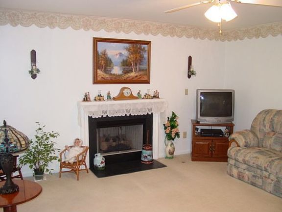 Gas Fireplace Livingroom