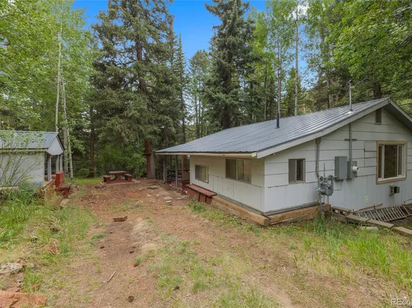 1242 Roland Drive, Bailey, CO 80421