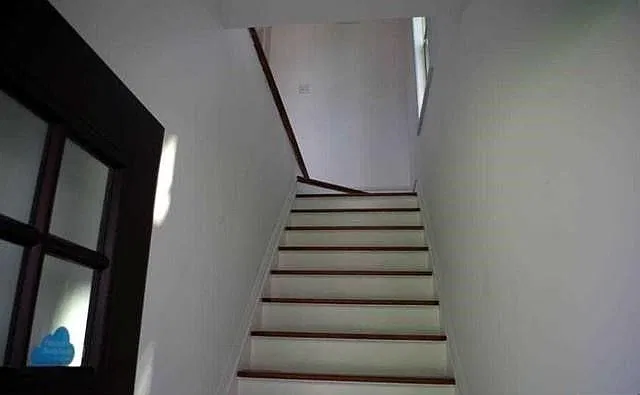2 bed, 1.0 bath, 800 sqft, $2,300 — Photo 2