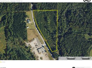 0 Highway 100 LOT WP001, Bowdon, GA 30108