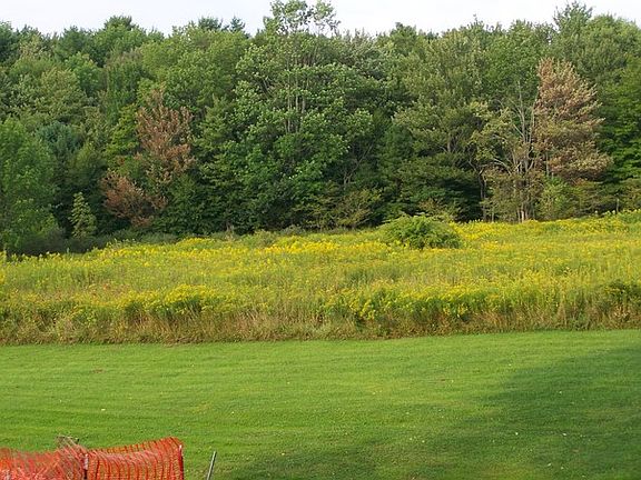 view from back yard