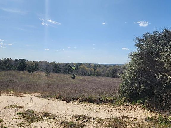 5th image of 0 An County Rd #441