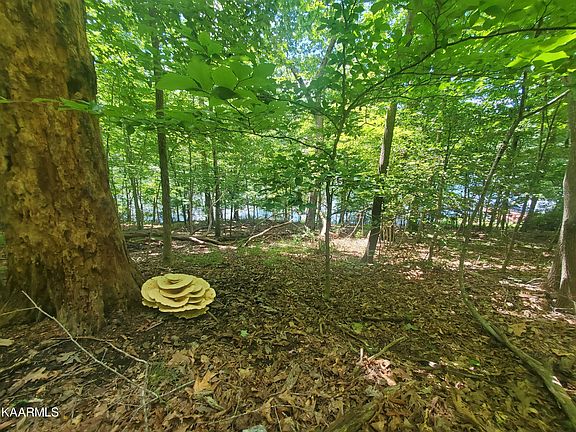 5th image of 132 Chatham Ln