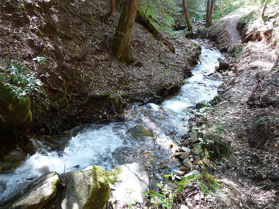 year round running creek