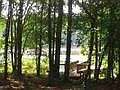 3rd image of Palmetto Pointe Dr. Lot 12
