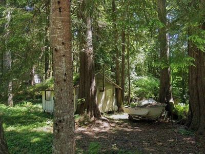 170 Mountain Trail Road, Brinnon, WA, 98320
