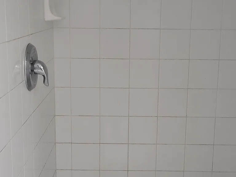 Master Bath Shower
