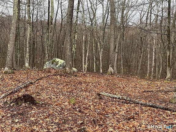 2nd image of Westwoods Road #2