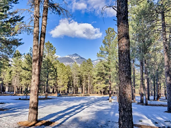 8400 N Round Tree Rd, Flagstaff, AZ 86001