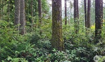 0 NW Holly Road, Seabeck, WA, 98380