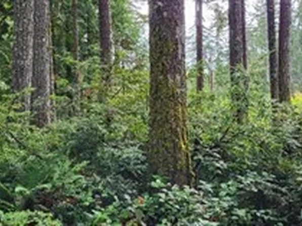 0 NW Holly Road, Seabeck, WA 98380