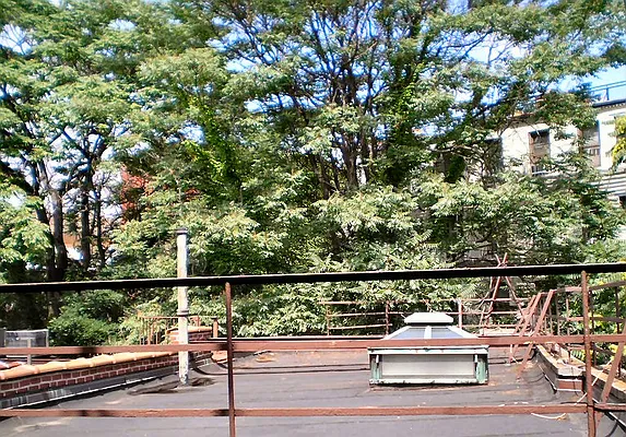 Rented by City Connections Realty | media 23