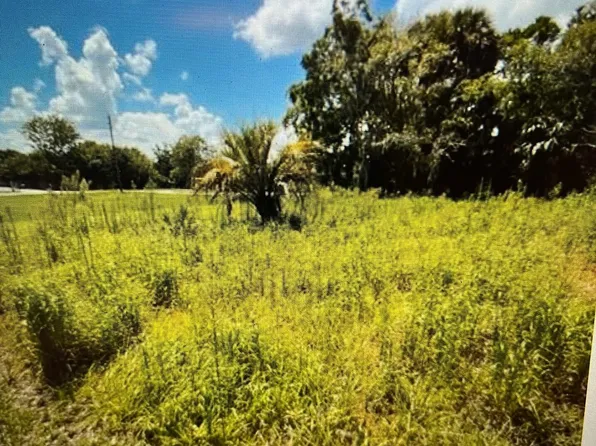 0 MADISON Lane, Palatka, FL 32177