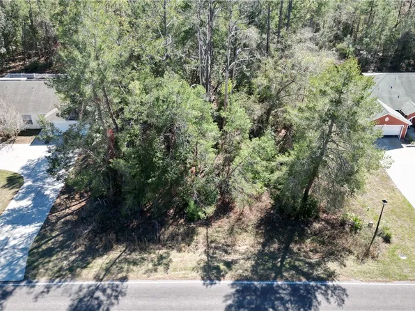 6310 W Oak Park Blvd, Homosassa, FL 34446