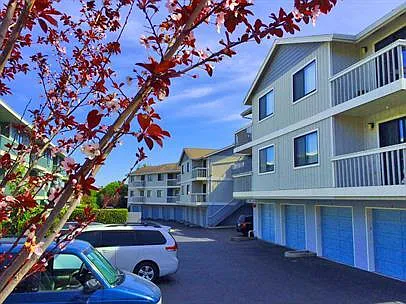 362 Alida Way Photo 1