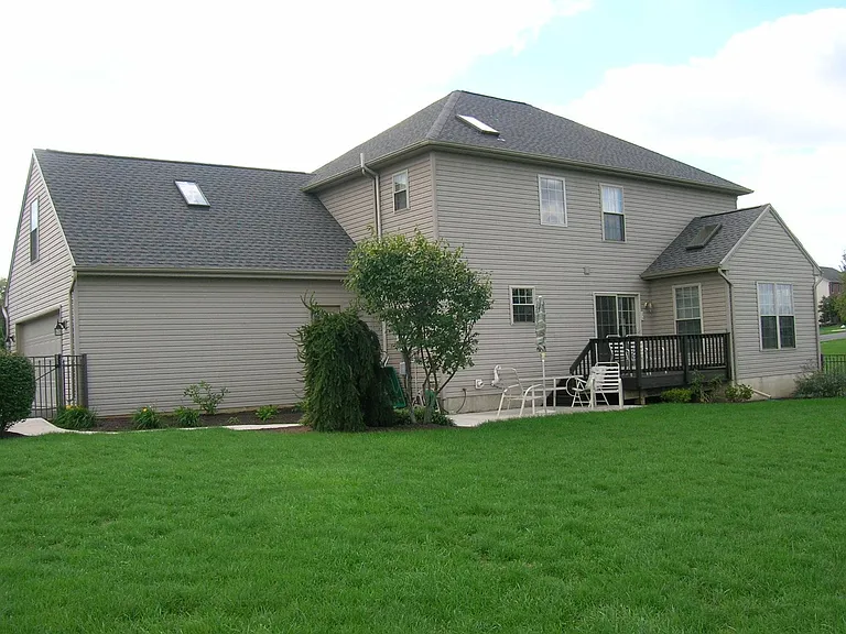 Back Yard 2