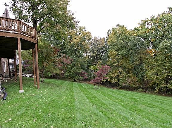 Yard with View of Trees