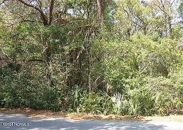 2nd image of 209 Muscadine Wynd