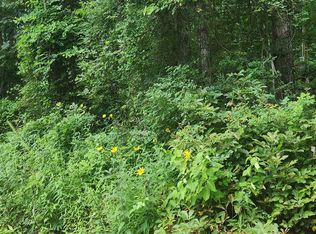 Lots 9 & 10 Basin St, Jefferson, TX 75657