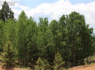 421 Calcite Dr, Divide, CO 80814