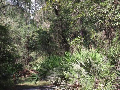 Off Mentoria Rd, Yulee, FL, 32097