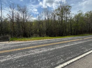 0 Brewer Rd, Manning, SC 29102