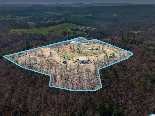 243 Red Oak Ln, Springville, AL 35146