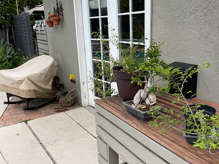 Agnes Ave — Photo 14