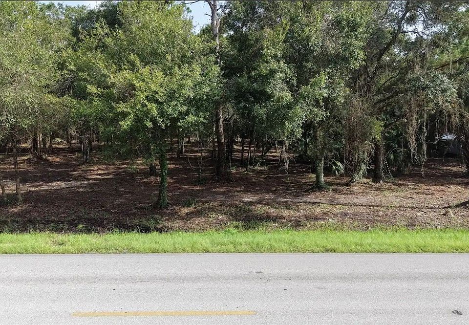 2nd image of 824 Woodland Blvd