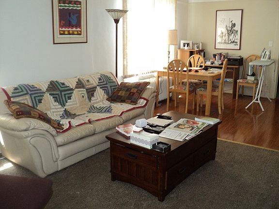 Living/Dining Room Lower