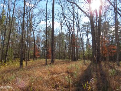 109 Winding Creek Drive LOT 104 and Slip 1, Oriental, NC, 28571