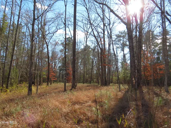 109 Winding Creek Dr Lot 104, Oriental, NC 28571