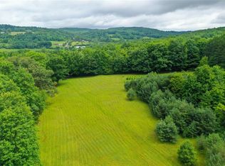 104 Dire Rd, Windsor, NY 13865