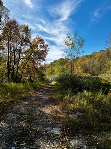 Route 19 Hominy Crk, Summersville, WV, 26651