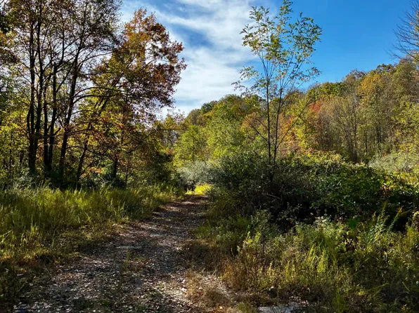Route 19 Hominy Crk, Summersville, WV 26651