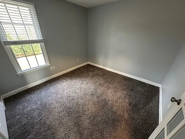 1793 Trier Dr — Photo 28