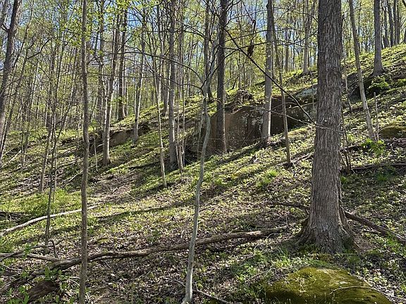 2nd image of Price Hollow Rd