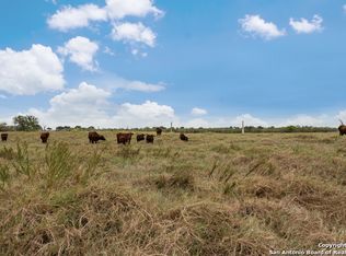 4607 Verdi Rd, Pleasanton, TX 78064