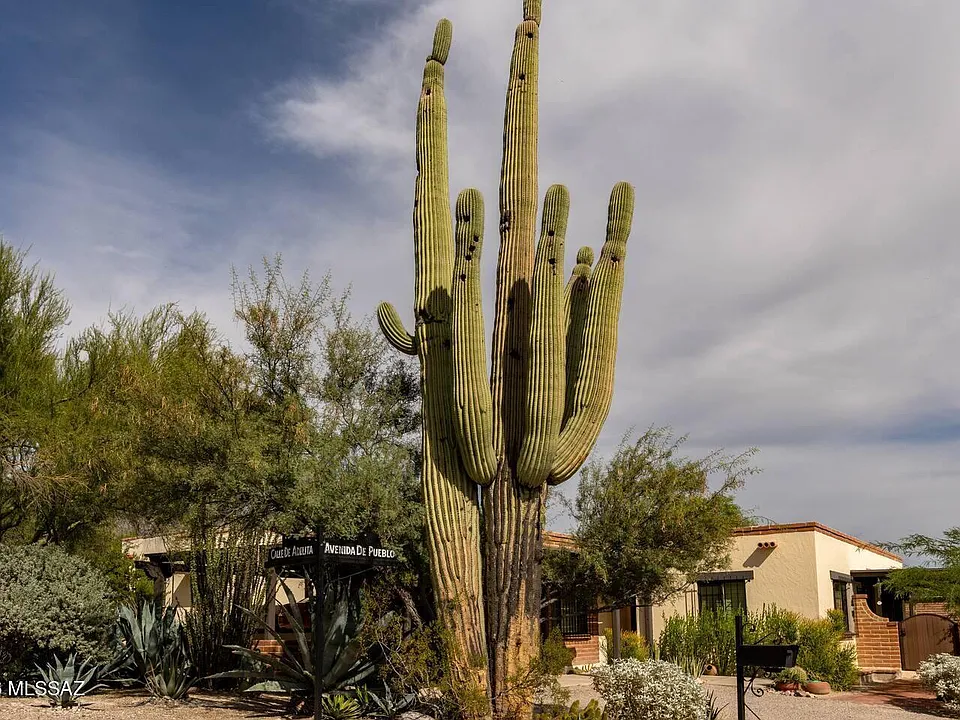6322 N Calle De Adelita