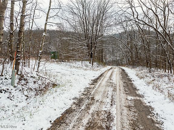 2nd image of Deerhorn Rd SE