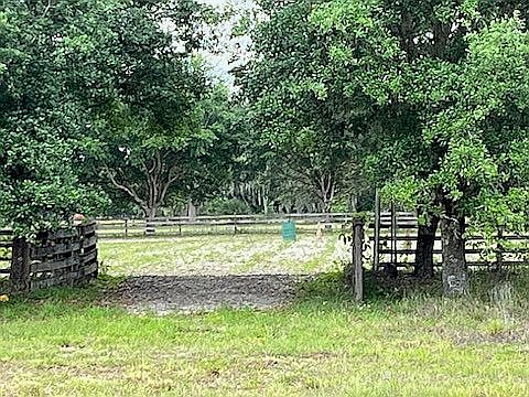 Oak tree lined arena 