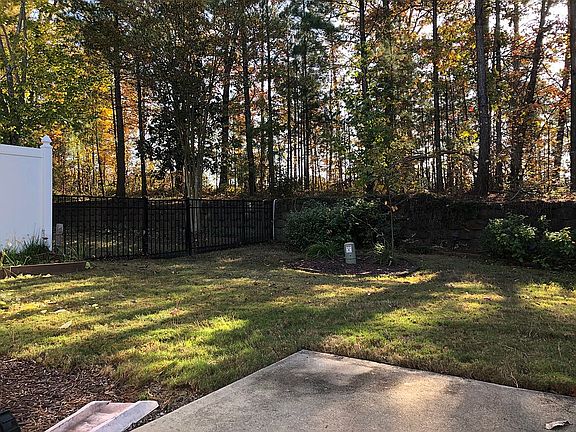 Backyard-1