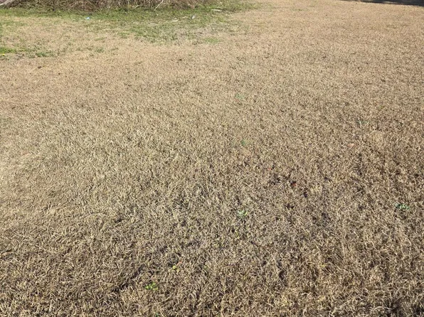 0 Bass Dr, Holly Hill, SC 29059