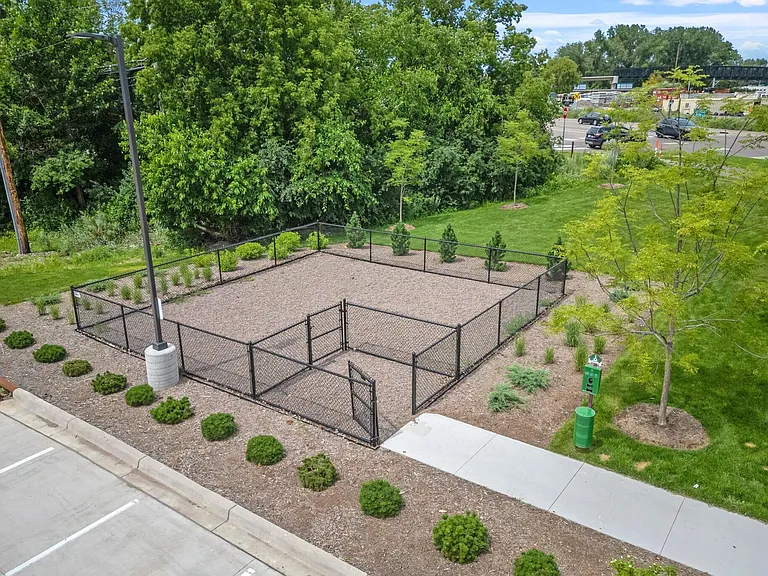 Dog Run