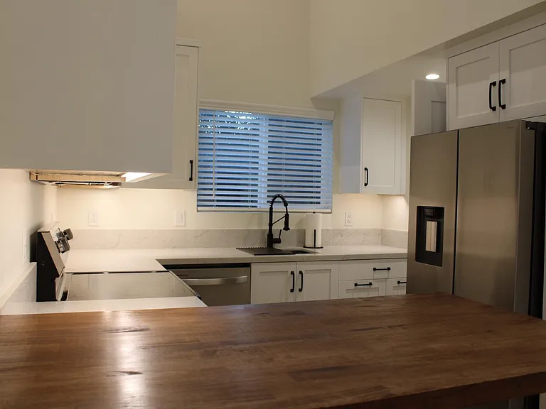 Water dispenser and Ice maker