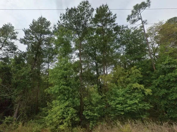 323 Ridge Rd Lot 17, Satsuma, FL 32189